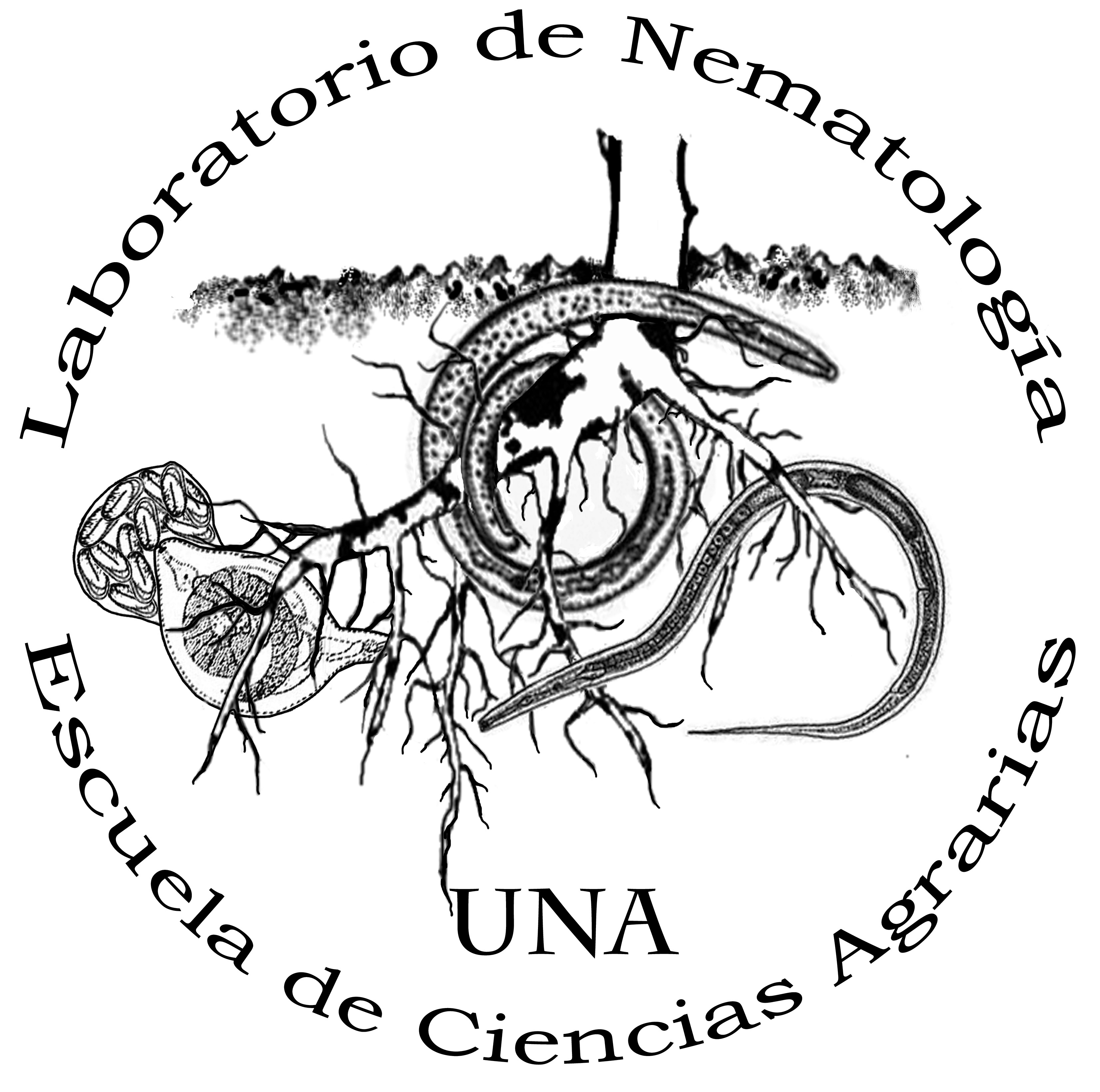 author logo